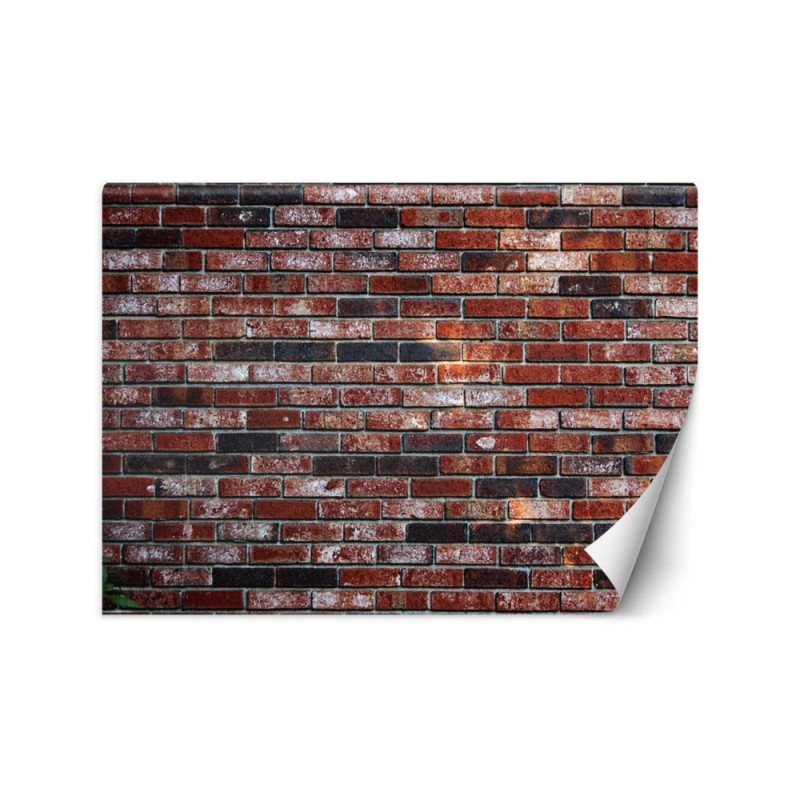 Fototapety tekstury na ścianę - Mur z czerwonej cegły | FEEBY