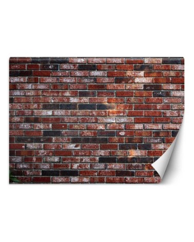 Fototapety tekstury na ścianę - Mur z czerwonej cegły | FEEBY
