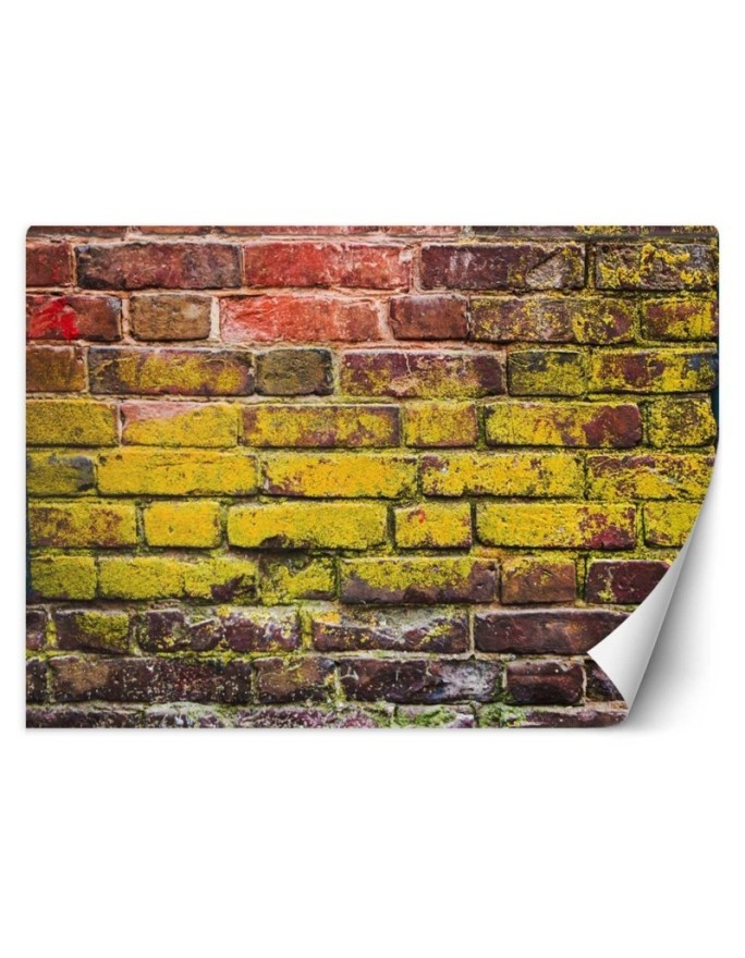 Fototapety tekstury - Stary kolorowy mur z cegieł | FEEBY