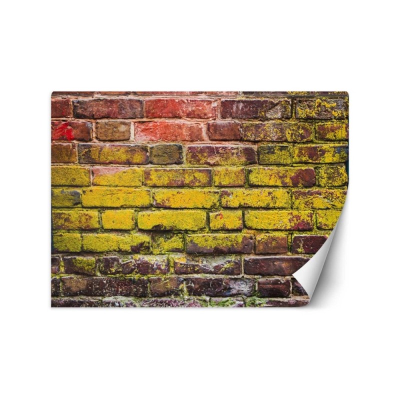 Fototapety tekstury - Stary kolorowy mur z cegieł | FEEBY