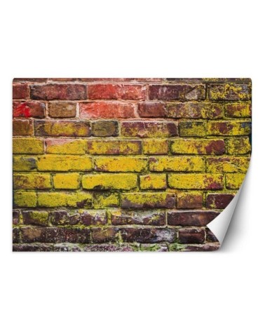 Fototapety tekstury - Stary kolorowy mur z cegieł | FEEBY