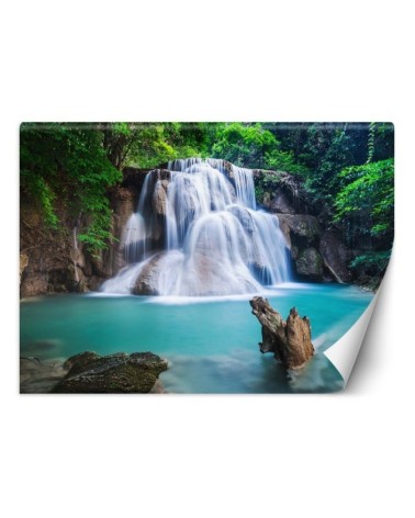 Beautiful wall murals - Waterfall in the tropics | FEEBY