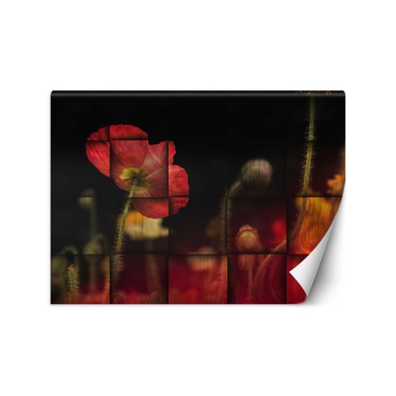 Oryginalne fototapety - Czerwone maki kwiaty | FEEBY