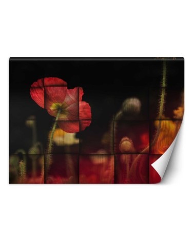 Original wall murals - Red flower poppies | FEEBY