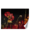 Oryginalne fototapety - Czerwone maki kwiaty | FEEBY