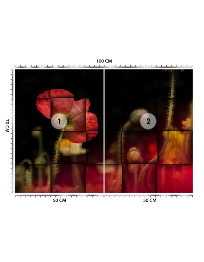 Oryginalne fototapety - Czerwone maki kwiaty | FEEBY