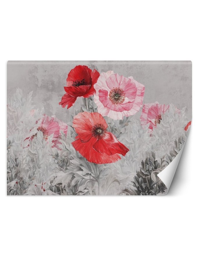 Unikalne fototapety - Czerwone maki akwarela | FEEBY