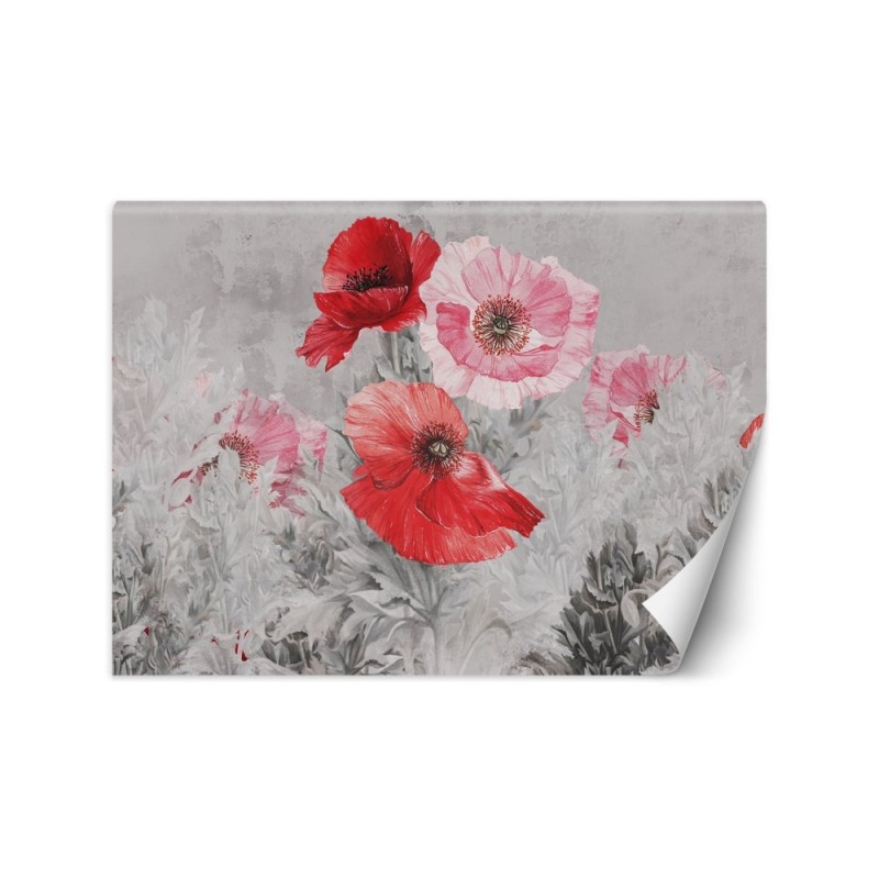Unikalne fototapety - Czerwone maki akwarela | FEEBY