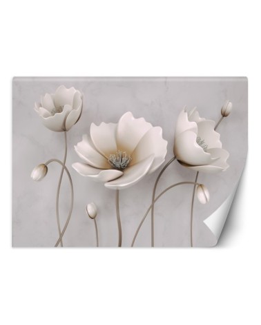 3D wall murals - Abstract flowers 3D | FEEBY