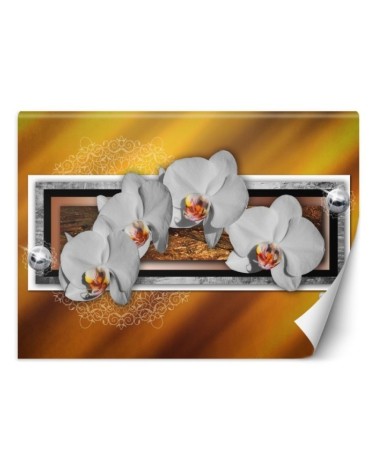 Modern wall murals - Geometry and orchids | FEEBY