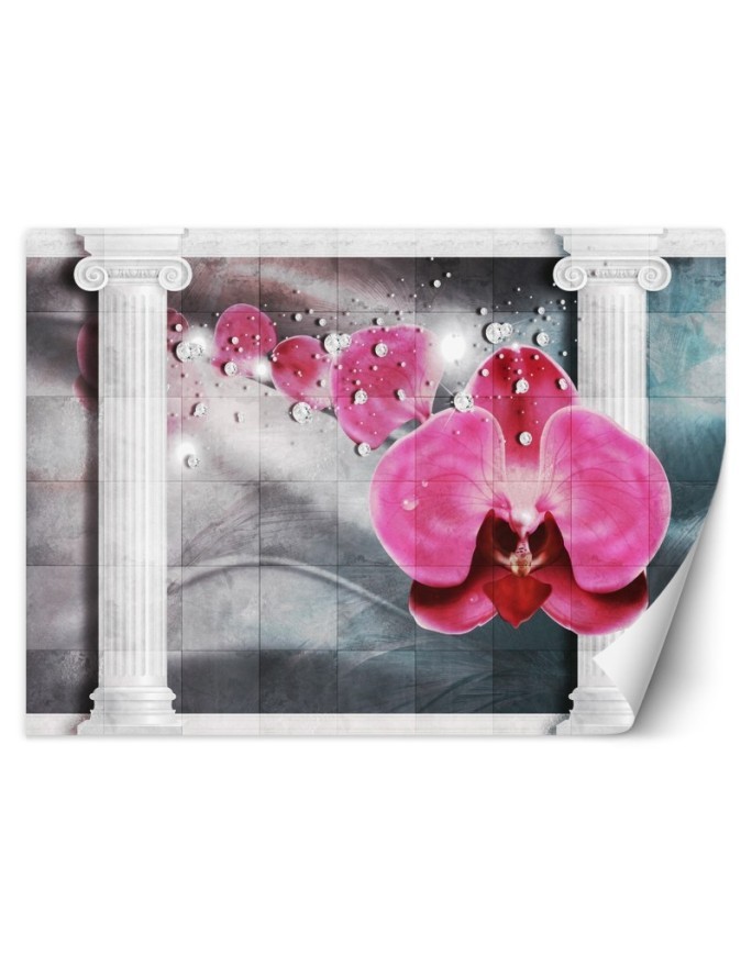 Beautiful wall mural - Pink column orchid flower | FEEBY