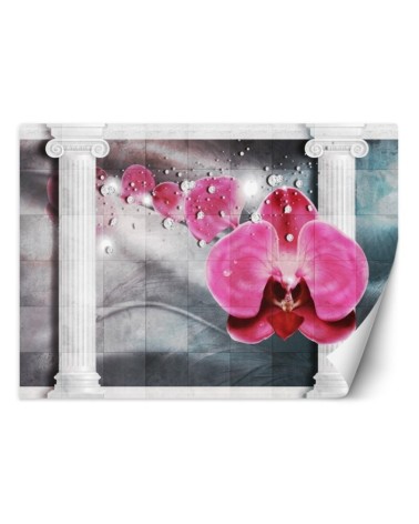 Beautiful wall mural - Pink column orchid flower | FEEBY