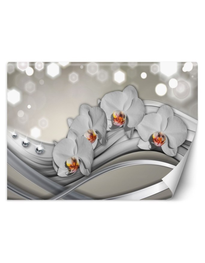 Nowoczesne fototapety - Orchidea abstrakcja | FEEBY