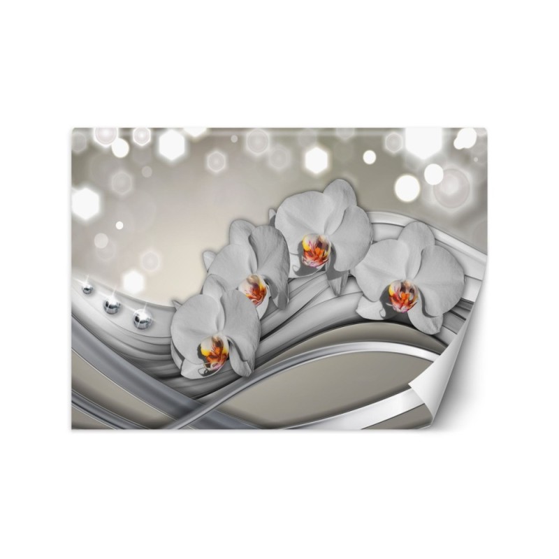Nowoczesne fototapety - Orchidea abstrakcja | FEEBY
