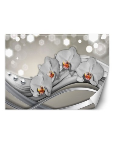 Nowoczesne fototapety - Orchidea abstrakcja | FEEBY