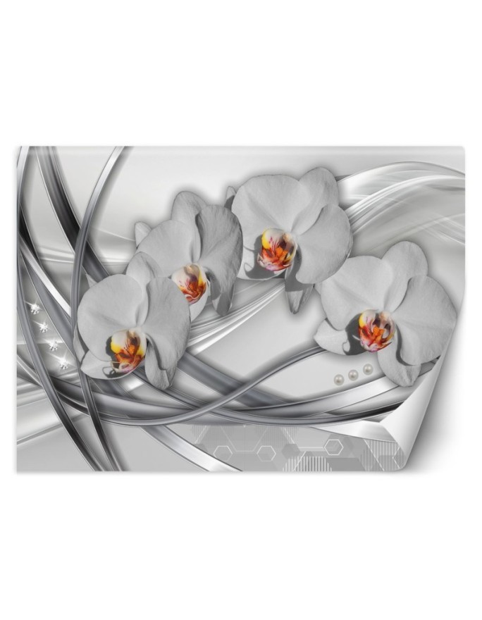 Nowoczesna fototapeta na ścianę - Abstrakcja orchidea | FEEBY