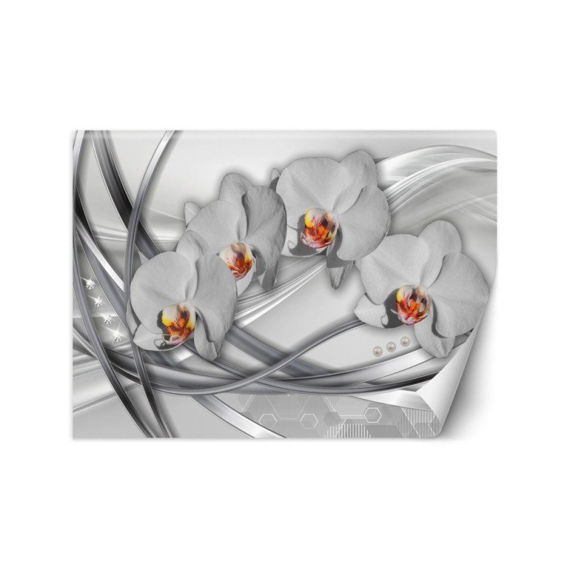 Nowoczesna fototapeta na ścianę - Abstrakcja orchidea | FEEBY