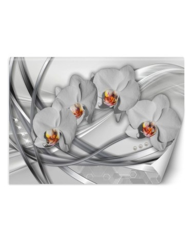 Nowoczesna fototapeta na ścianę - Abstrakcja orchidea | FEEBY