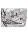 Nowoczesna fototapeta na ścianę - Abstrakcja orchidea | FEEBY
