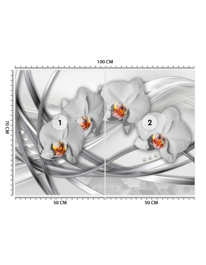 Nowoczesna fototapeta na ścianę - Abstrakcja orchidea | FEEBY