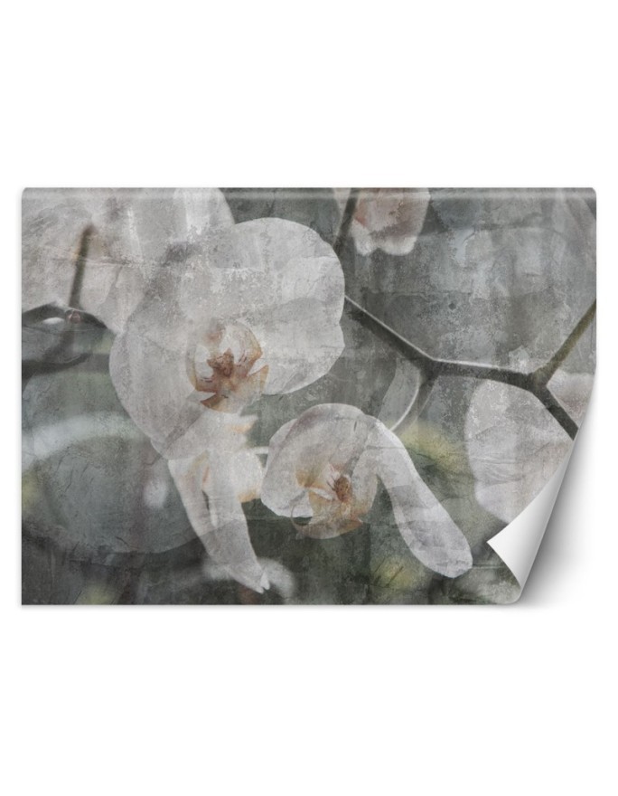 Inspirujące fototapety na ścianę - Orchidea vintage | FEEBY