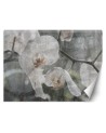 Inspirujące fototapety na ścianę - Orchidea vintage | FEEBY