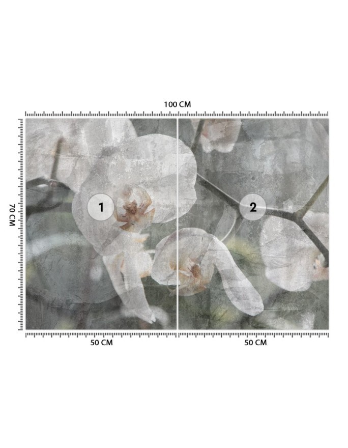 Inspirujące fototapety na ścianę - Orchidea vintage | FEEBY