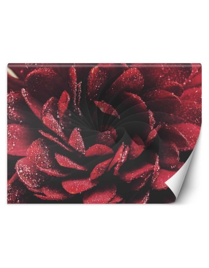 Exclusive wall murals - Macro flower | FEEBY