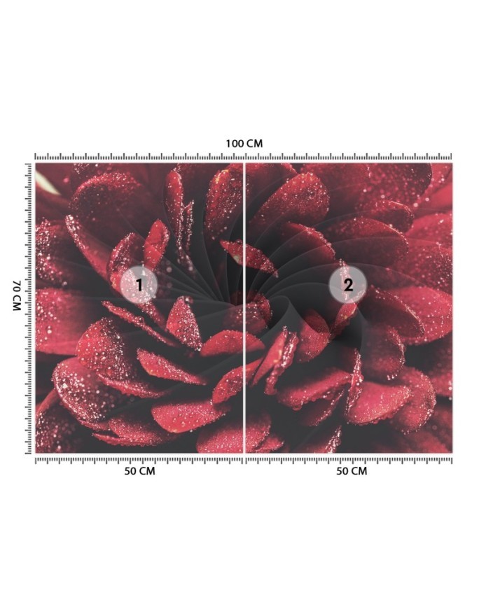 Ekskluzywne fototapety na ścianę - Kwiat makro | FEEBY