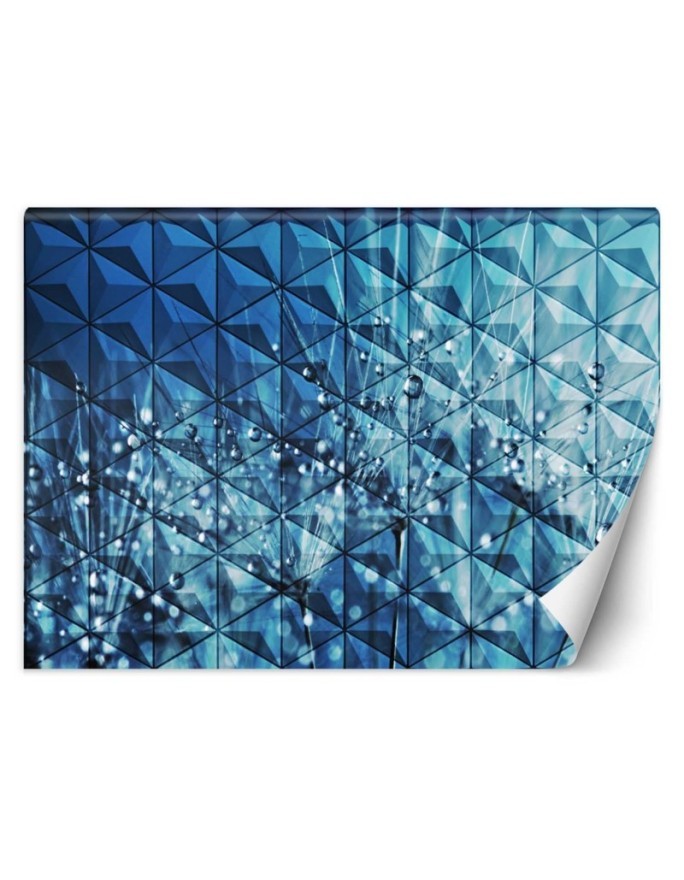 Original wall murals - Dewdrops on a dandelion | FEEBY