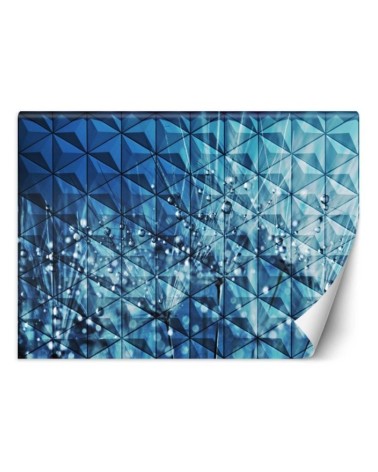 Original wall murals - Dewdrops on a dandelion | FEEBY