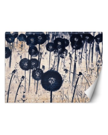 Modern wall murals - Texture dewdrops on a dandelion | FEEBY