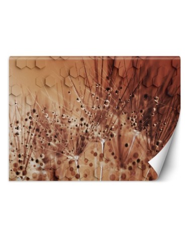 Depth effect wall murals - Blowpipes in dewdrops | FEEBY