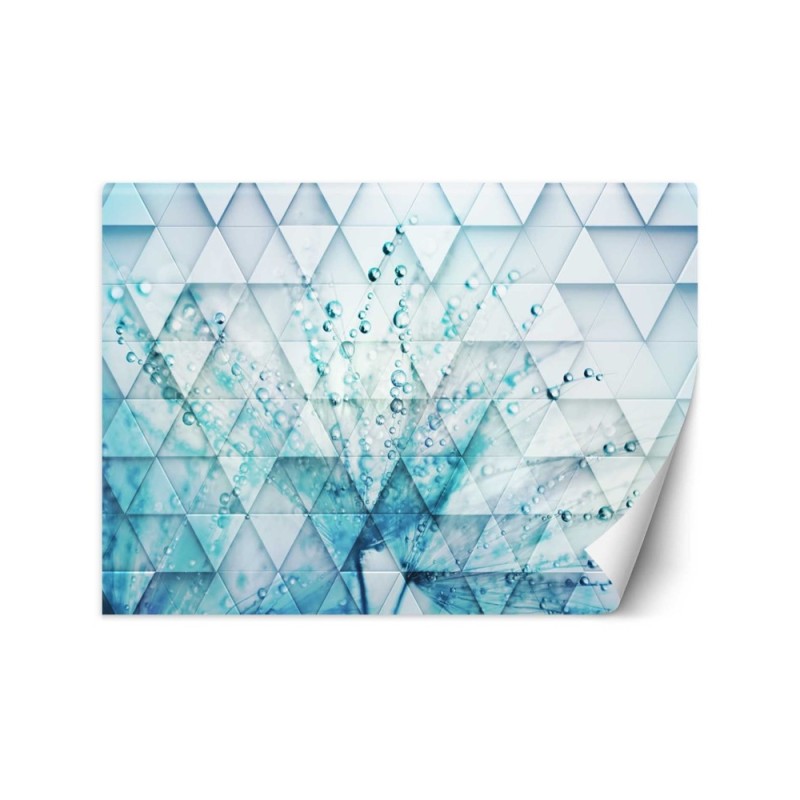 Fototapeta - Dmuchawiec w kroplach rosy geometryczny | FEEBY