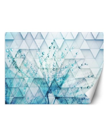 Fototapeta - Dmuchawiec w kroplach rosy geometryczny | FEEBY