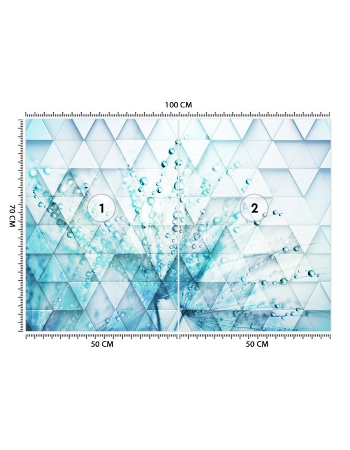 Fototapeta - Dmuchawiec w kroplach rosy geometryczny | FEEBY