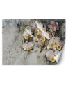 Inspirujące fototapety - Orchidea kwiaty na tle starej ściany | FEEBY