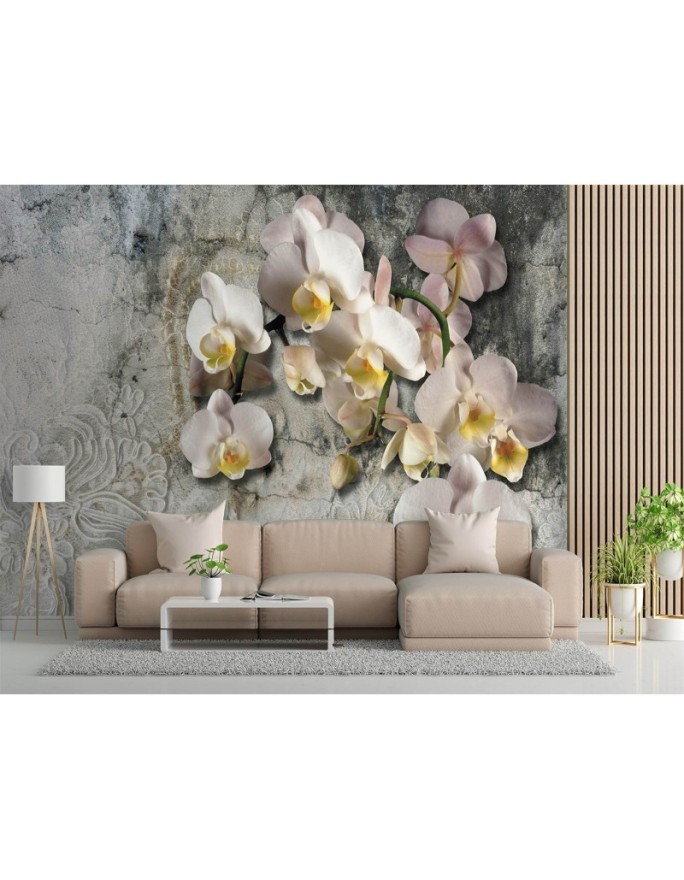 Inspirujące fototapety - Orchidea kwiaty na tle starej ściany | FEEBY