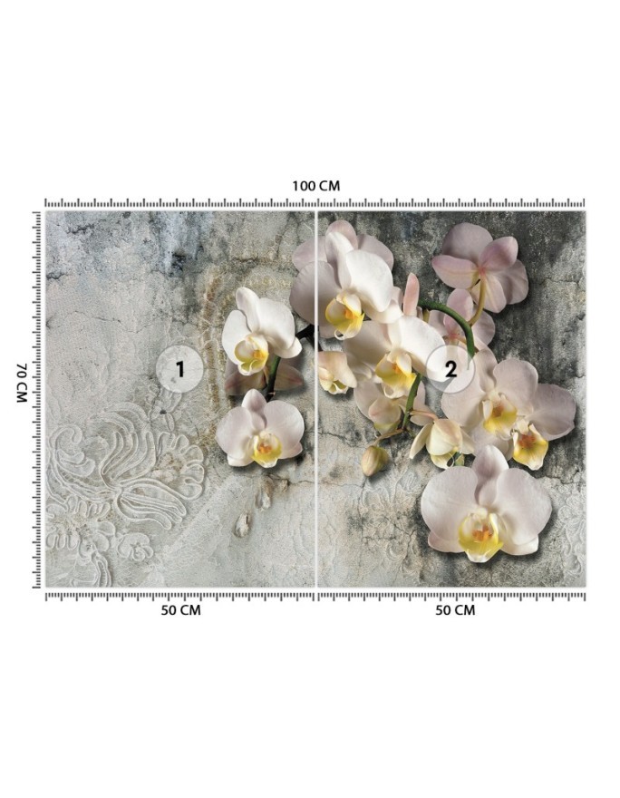 Inspirujące fototapety - Orchidea kwiaty na tle starej ściany | FEEBY