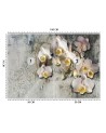 Inspirujące fototapety - Orchidea kwiaty na tle starej ściany | FEEBY