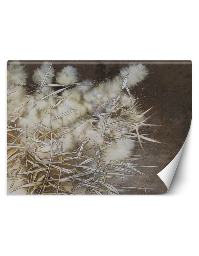 Unikalne fototapety - Trawa pampasowa boho | FEEBY