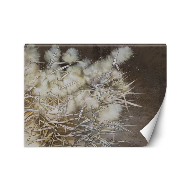 Unikalne fototapety - Trawa pampasowa boho | FEEBY