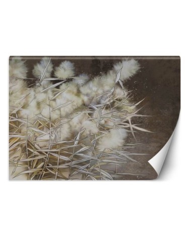 Unikalne fototapety - Trawa pampasowa boho | FEEBY