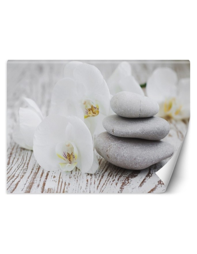 Nowoczesne fototapety - Kwiaty kamienie zen | FEEBY