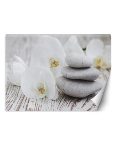 Modern Wallpaper - Flowers zen stones | FEEBY