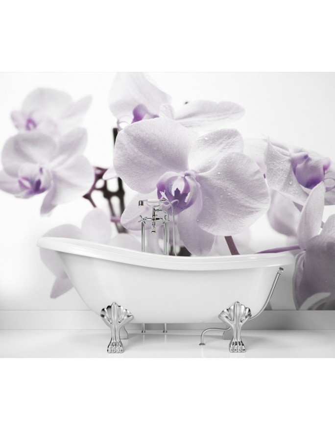 Fototapeta na ścianę - Kwitnąca orchidea | FEEBY
