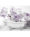 Fototapeta na ścianę - Kwitnąca orchidea | FEEBY