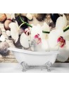 Fototapeta na ścianę - Orchidea zen feng shui | FEEBY