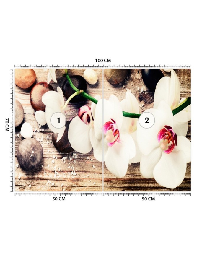 Fototapeta na ścianę - Orchidea zen feng shui | FEEBY