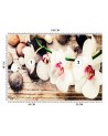 Fototapeta na ścianę - Orchidea zen feng shui | FEEBY